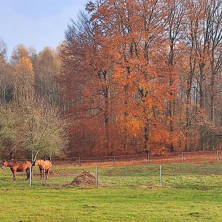 Apartmán Zacisze Pod Bukami Gornica Exteriér fotografie