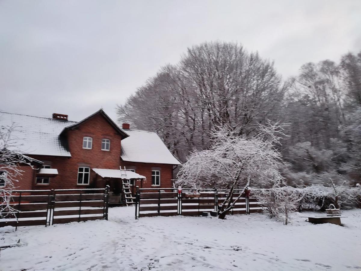 Apartmán Zacisze Pod Bukami Gornica Exteriér fotografie
