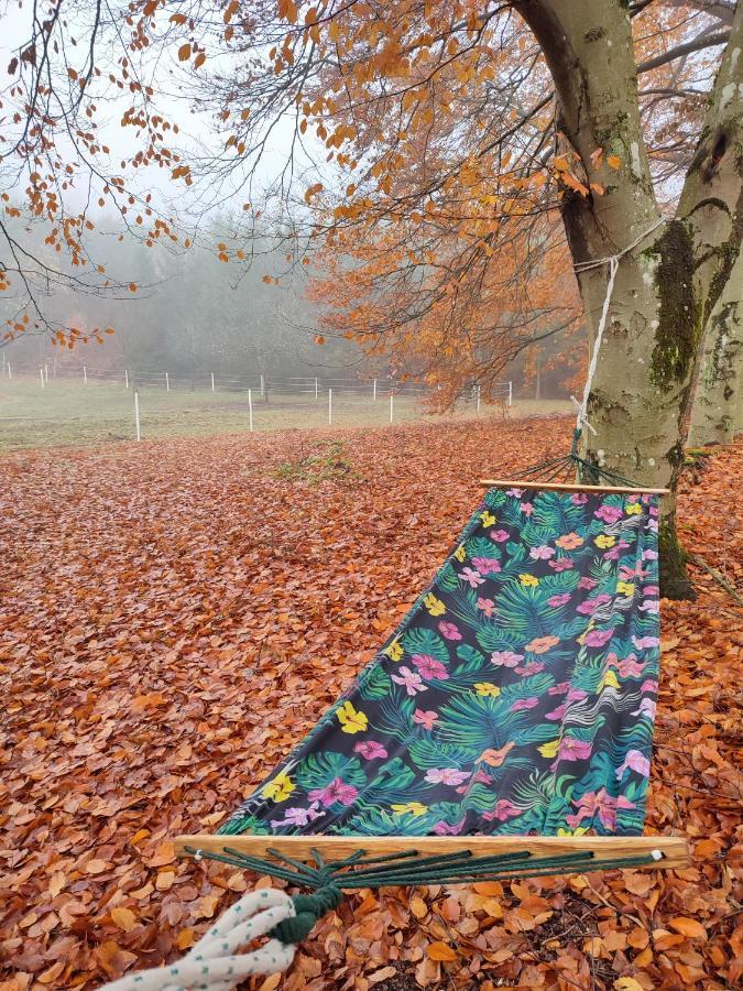 Apartmán Zacisze Pod Bukami Gornica Exteriér fotografie