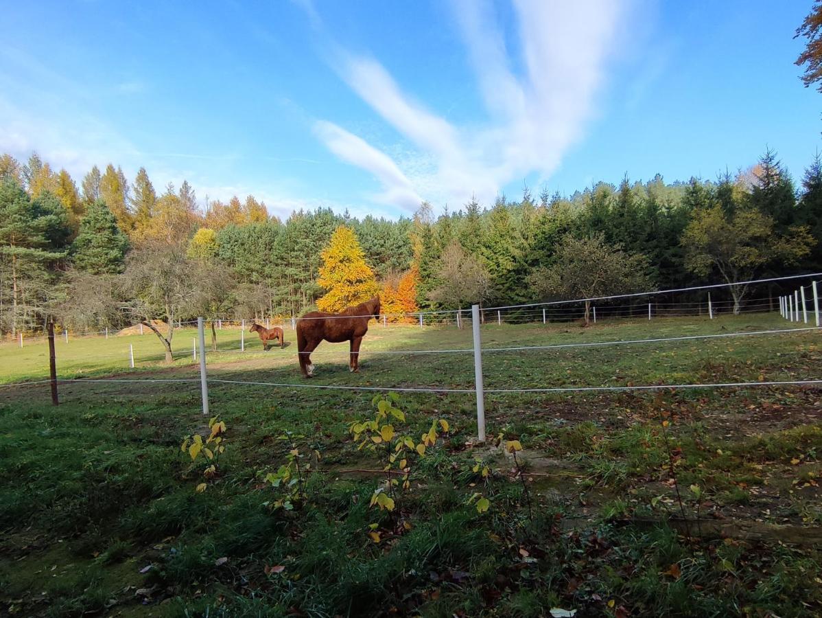 Apartmán Zacisze Pod Bukami Gornica Exteriér fotografie