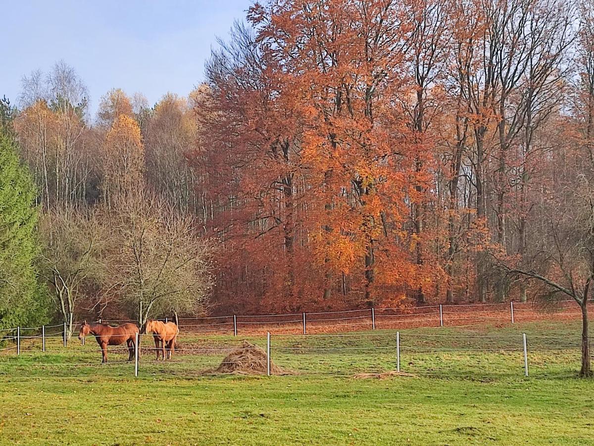 Apartmán Zacisze Pod Bukami Gornica Exteriér fotografie