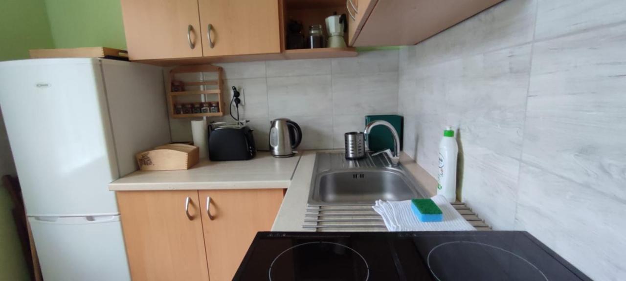 Apartmán Zacisze Pod Bukami Gornica Exteriér fotografie